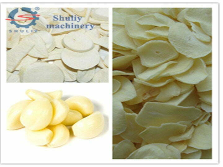 Garlic Dehydrator Machine 2 Dried garlic and garlic slices