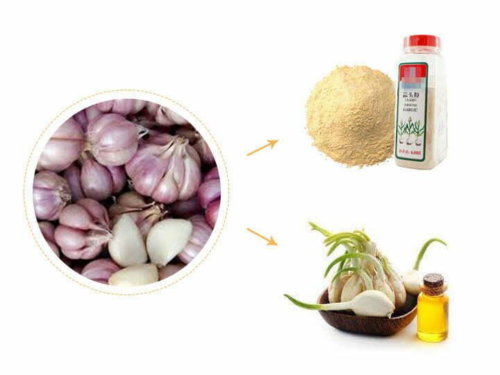 Garlic essential oil and seasoning