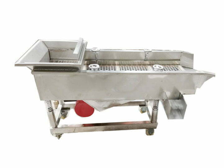 Garlic Peeling Production Line | Garlic Processing Machine 12 Garlic screening machine