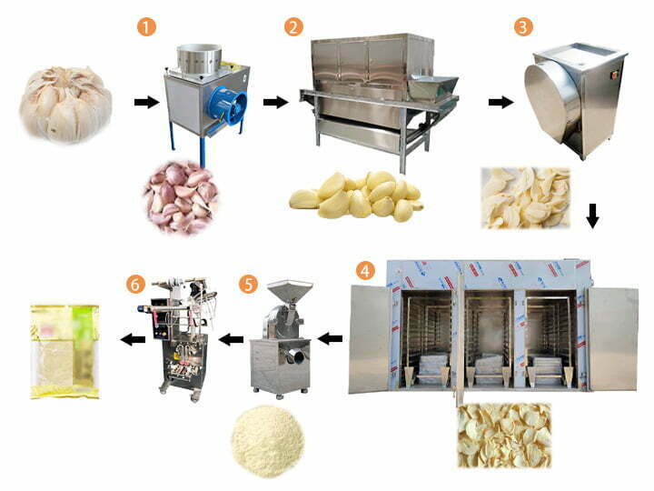 Garlic powder production process