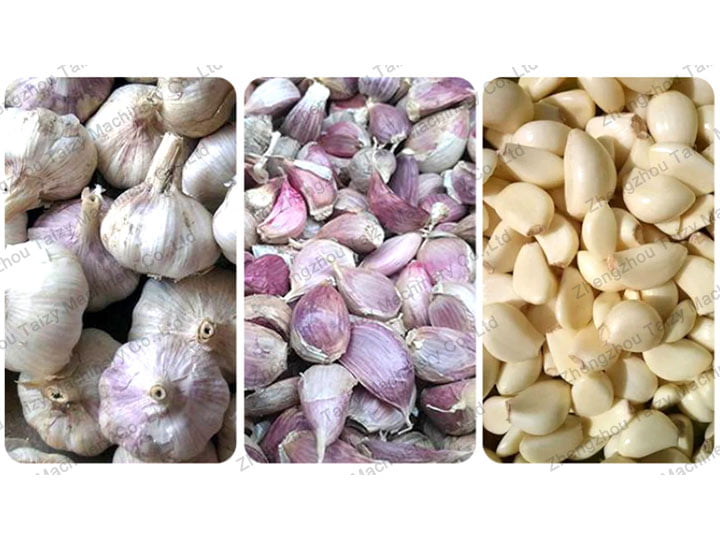 Garlic deep processing