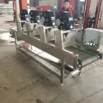 Factory View of Garlic Air Drying Machines