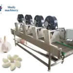 Garlic air drying machine