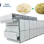 Garlic dehydrator machine