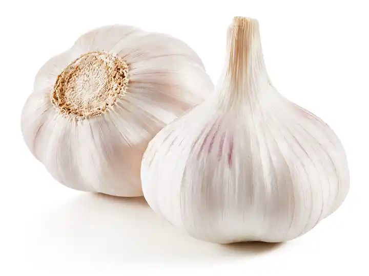 Garlic air drying machine 2 लहसुन
