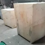 Packaging of Garlic Peeling Machine