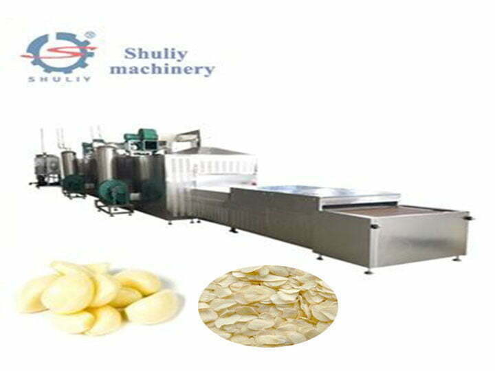 continuous garlic dehydrator machine