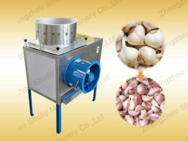 Garlic clove separating machine