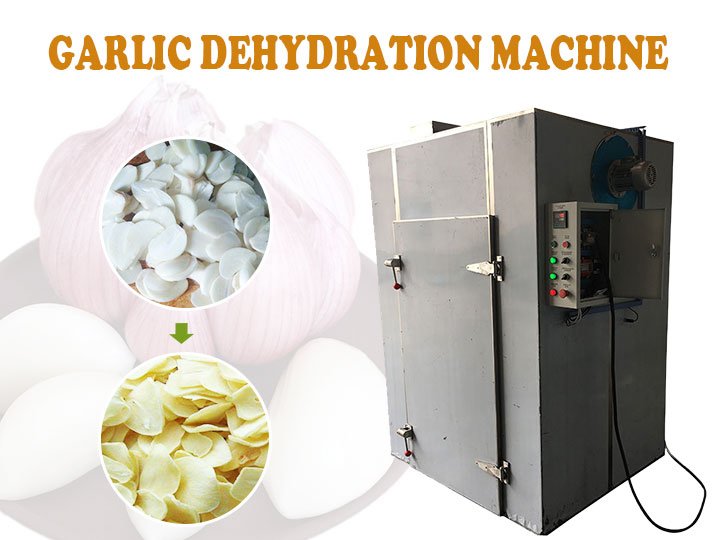 Garlic dehydration machine