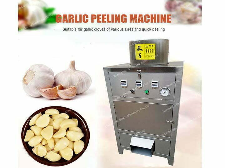 garlic peeling machine manufacturer