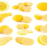 lemon silce