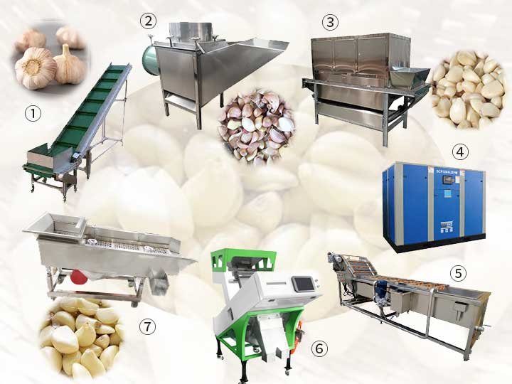 1000KG garlic peeling production line