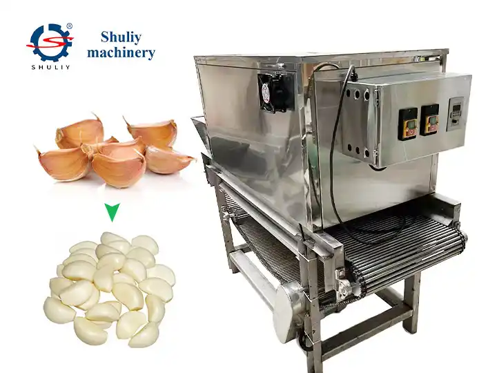 Chain-type peeling machine | Commercial garlic peeler