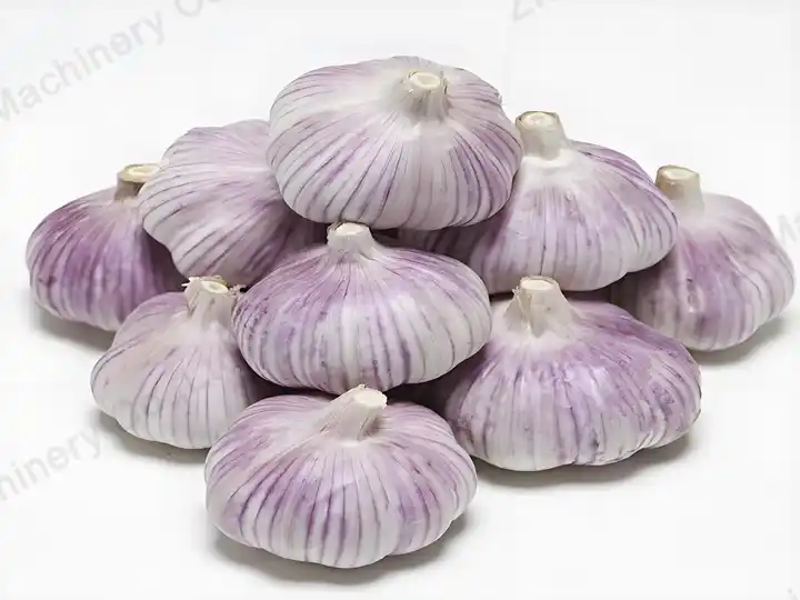 Apa prinsip kerja mesin pembersih bawang putih SL-800? Bawang Ungu