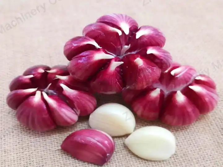 Lini produksi pengupasan bawang putih | Mesin pengolahan bawang putih 10 Bawang Merah