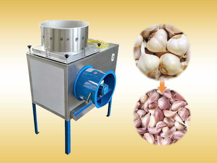 Shuliy exports garlic splitter and peeling machine to South Africa 7 Garlic clove separator machine