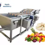 Garlic cleaning machine