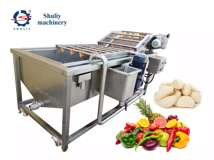 Garlic cleaning machine