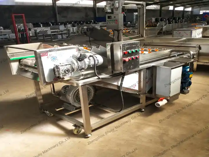 SL-800 garlic cleaning machine helps Hungarian customer to increase washing capacity to 2000Kg/h 3 Garlic washing machine factory photo