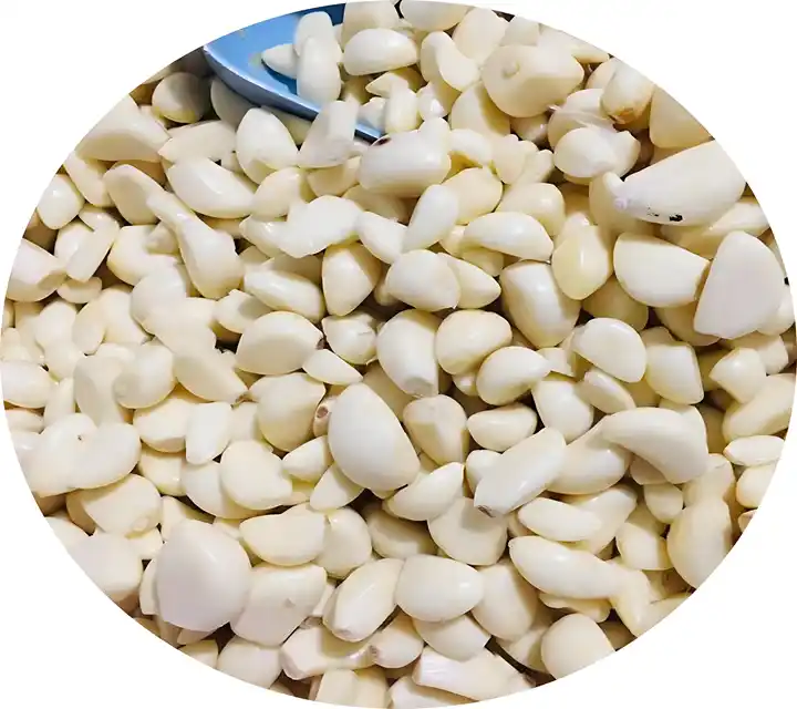 SL-800 garlic cleaning machine helps Hungarian customer to increase washing capacity to 2000Kg/h 1 Peeled garlic for cleaning
