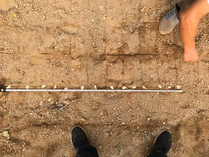 Plant spacing of garlic
