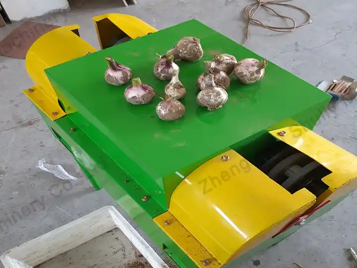 Painted garlic root stem cutting machine