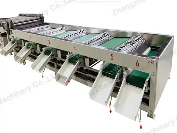 Garlic grading machine 1 máquina de classificação de alho