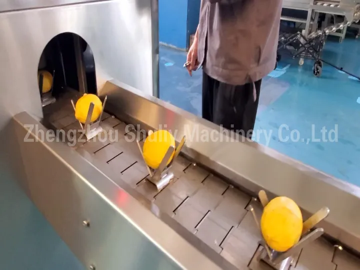 नींबू के लिए प्याज की जड़ काटने वाली मशीन