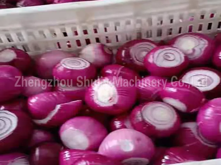 ऊपर और जड़ें निकाली गई प्याज