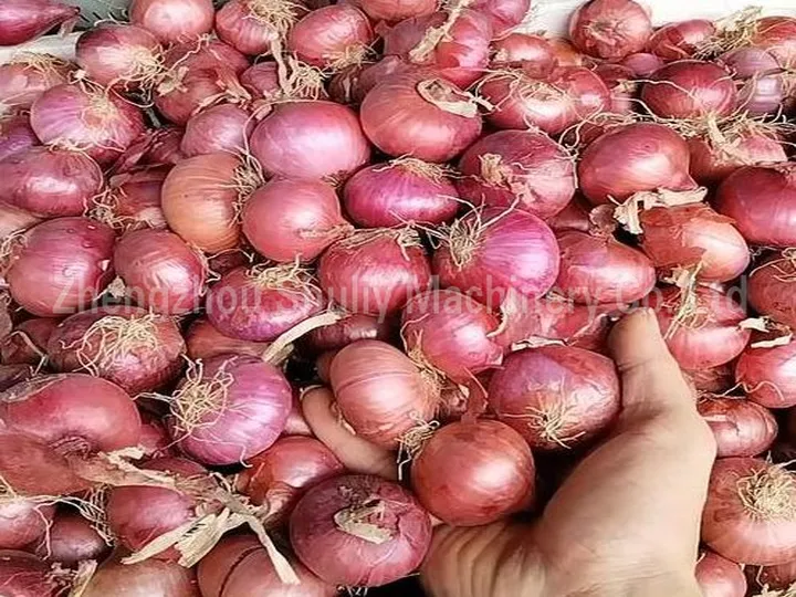 छोटा प्याज